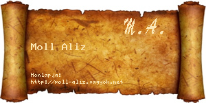 Moll Aliz névjegykártya