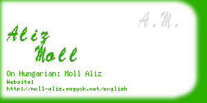 aliz moll business card